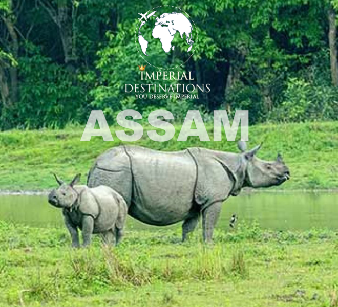 imperial-assam